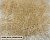 Ковролин Oz Caplan DEFIER 01800A cream
