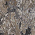 Ковролин Kaplancer IRIS 8698C 46 beige / L.Grey